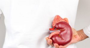 هشت قانون طلایی حفظ سلامت کلیهها