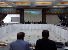 انتخاب مجدد دکتر فاطمه هاشمی به عنوان رئیس فدراسیون ورزش بیماران خاص