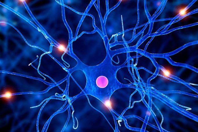 بیمه سلامت چقدر از هزینه داروهای «ام. اس» را میپردازد؟