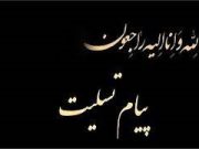 پیام تسلیت درگذشتِ دکتر سید محمّد شهر تاش