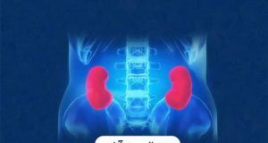 هفته ملی حمایت از بیماران کلیوی