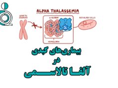 بیماریهای کبدی در آلفا تالاسمی