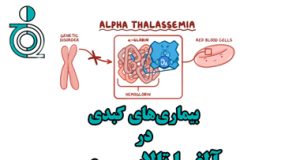 بیماریهای کبدی در آلفا تالاسمی