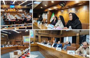 نشست هم افزایی و تعامل هیاتهای ورزش بیماران خاص و پیوند اعضا با حضور مسوولان فدراسیون ورزش بیماران خاص و پیوند اعضا